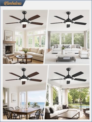 Large Ceiling Fans with Lights