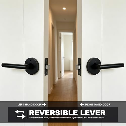 Privacy Door Handle with Lock