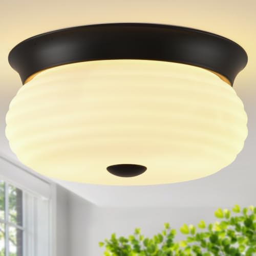 Flush Mount Ceiling Light Fixtures
