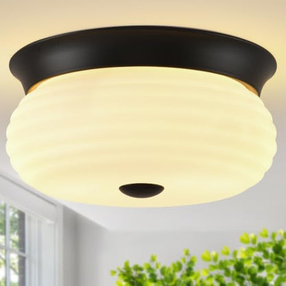 Flush Mount Ceiling Light Fixtures