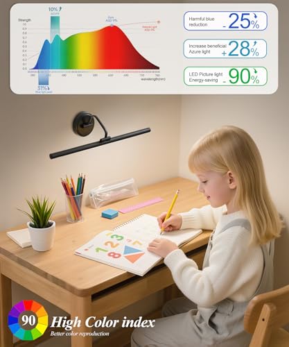 Hardwired Picture Light for Wall