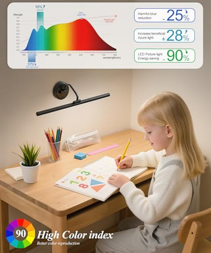 Hardwired Picture Light for Wall