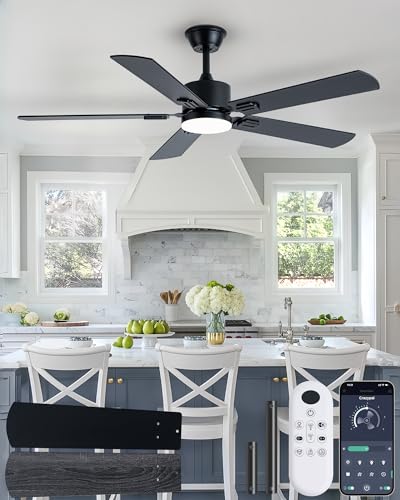 52" Ceiling Fan with Light for Bedroom