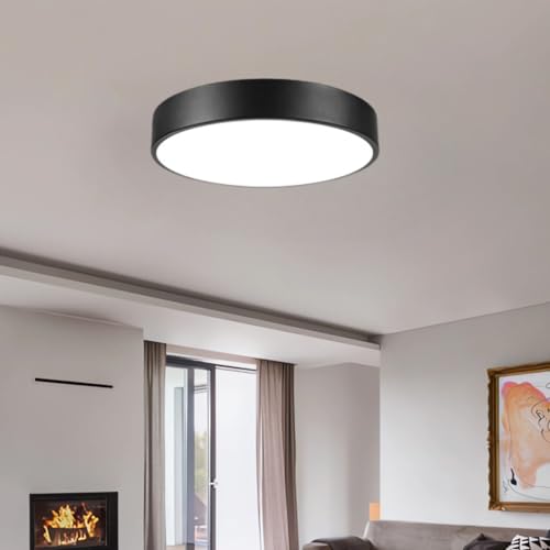 Matte Black Flush Mount Ceiling Light