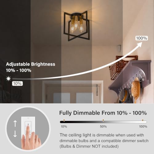 3 Light Ceiling Light