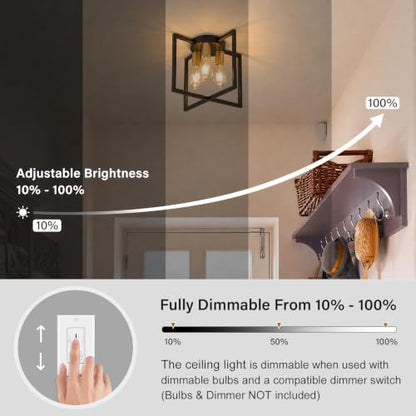 3 Light Ceiling Light