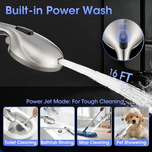 Shower Head with Handheld