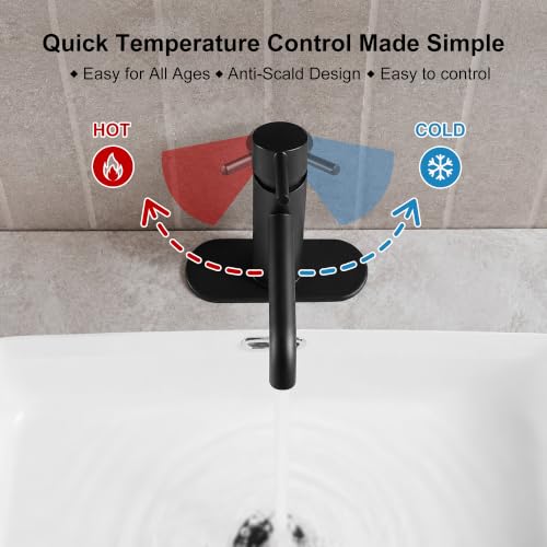 Bathroom Faucet (Matte Black)