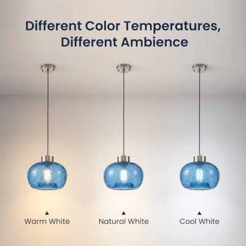 Globe Pendant Lights