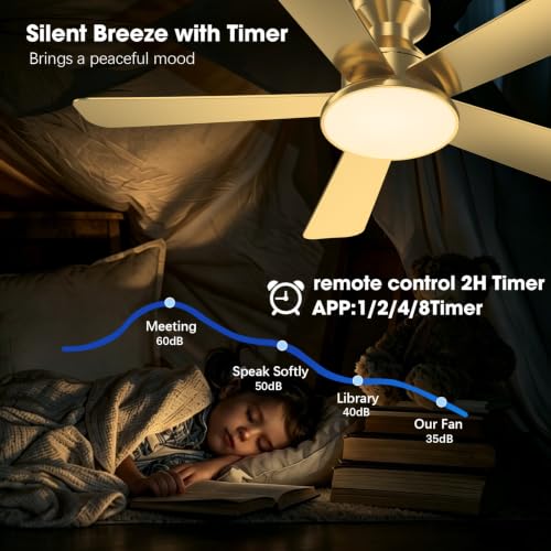 Ceiling Fans with Lights