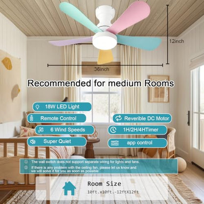 Ceiling Fans with Lights