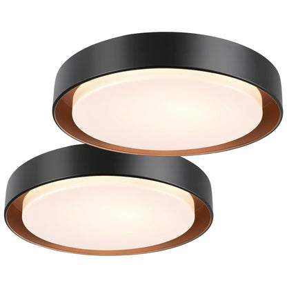 2 Pack Flush Mount Ceiling Light (Matte Black)