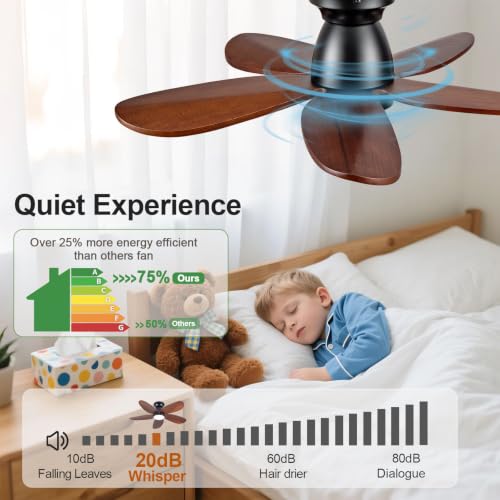 Ceiling Fan with Light