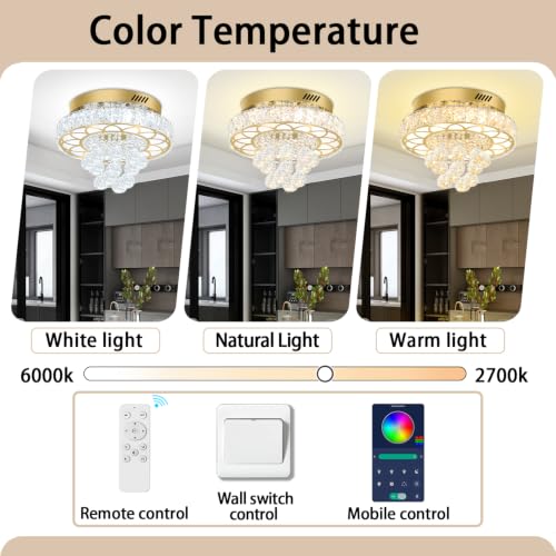Flush Mount Crystal Chandelier