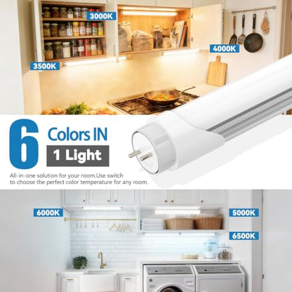 18" F15T8 LED Replacement Bulb