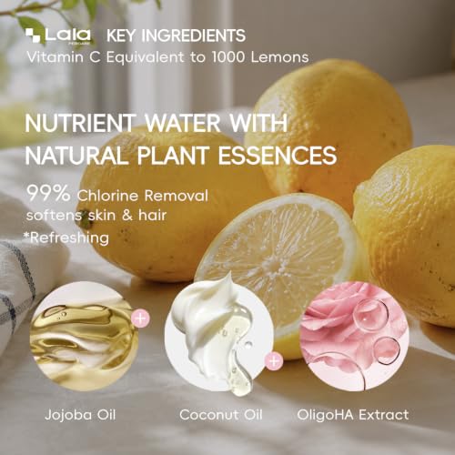 High Pressure Aromatherapy Filtered Shower Head with Handheld