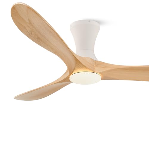 low profile ceiling fan with Light