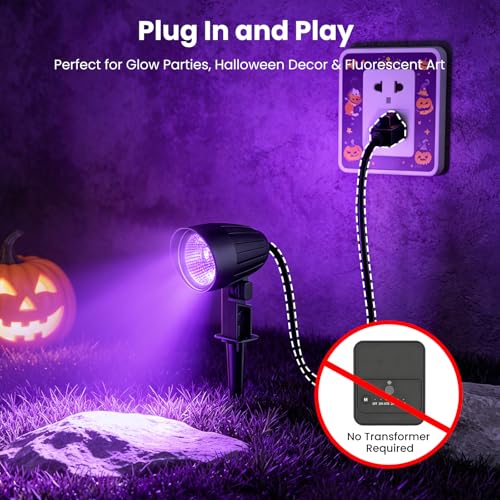 Black Light Outdoor Spotlight