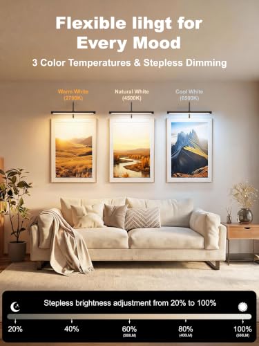 Plug in Picture Light for Wall