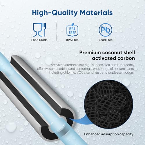 25 Micron 10"x4.5" Whole House Sediment and Carbon Filter (2 Count (Pack of 1))