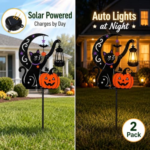 2 Pack Outdoor Yard Light Decorations