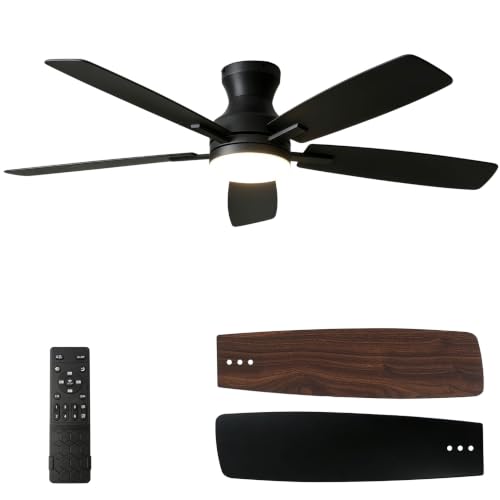 Ceiling Fans with Lights