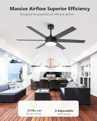 Large Ceiling Fan with Lights