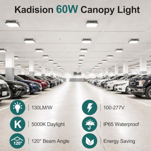 60W LED Canopy Light for Gas Station