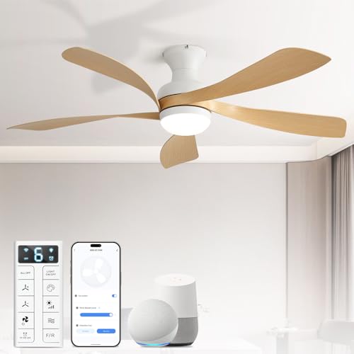 Ceiling Fans with Lights and Remote
