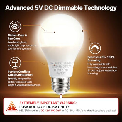 5V E26 LED Bulb
