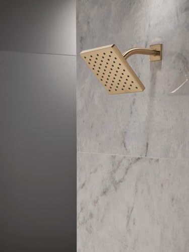 Modern Single Spray Brushed Gold Shower Head
