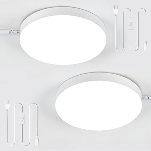 2 Pack LED Plug in Ceiling Light Fixture