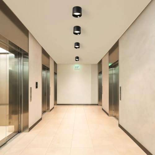 Flush Mount Ceiling Light Fixture