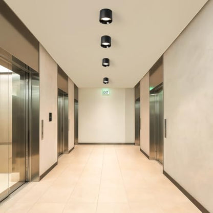 Flush Mount Ceiling Light Fixture