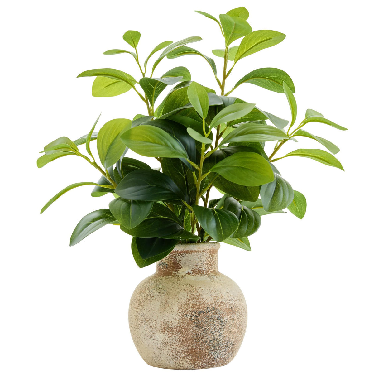 Fake Faux Potted Plant Ficus Ceramic Pot Rustic Home Decor (Green Fig Leaf Plant 17" H)