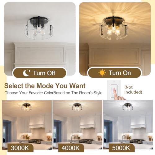 Black Farmhouse Chandelier