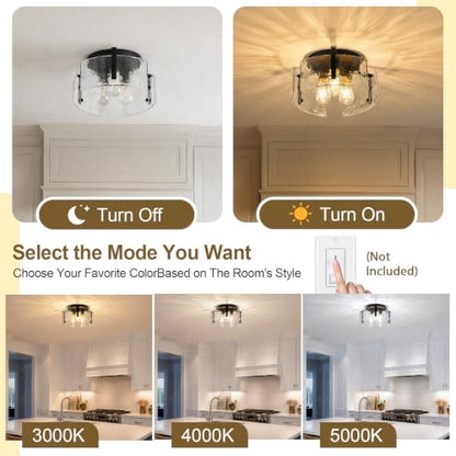 Black Farmhouse Chandelier