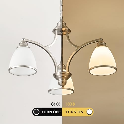 6 Light Chandelier