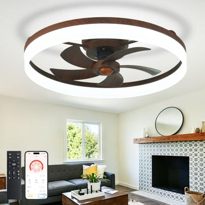 DLLT Modern Ceiling Fans with Lights