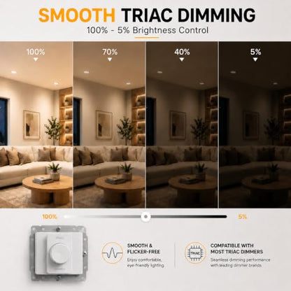 LED Recessed Light