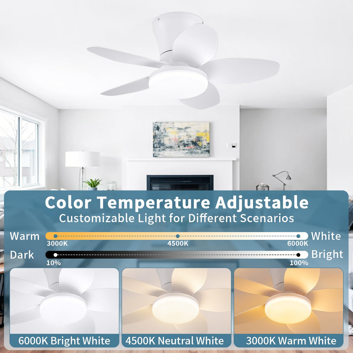Small Ceiling Fan with Lights (White / 25 Inch)