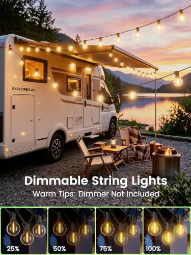 G40 String Lights