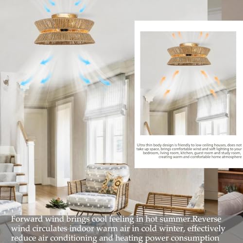 Ceiling Fan with Light
