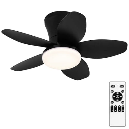 Ceiling Fan with Lights