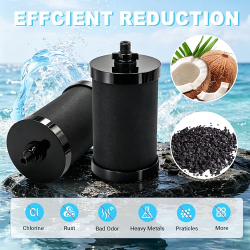 2387 Pro Filter Replacement