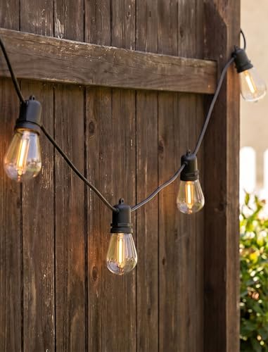 Edison LED Replacement Bulbs for Outdoor String Lights