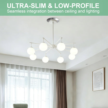 The Can Converter Ceiling Medallion for Recessed Can Light (Brushed Nickel)
