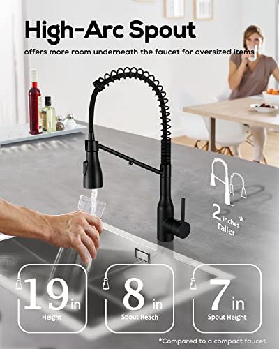 Kitchen Faucet with Pull Down Sprayer and Pot Filler
