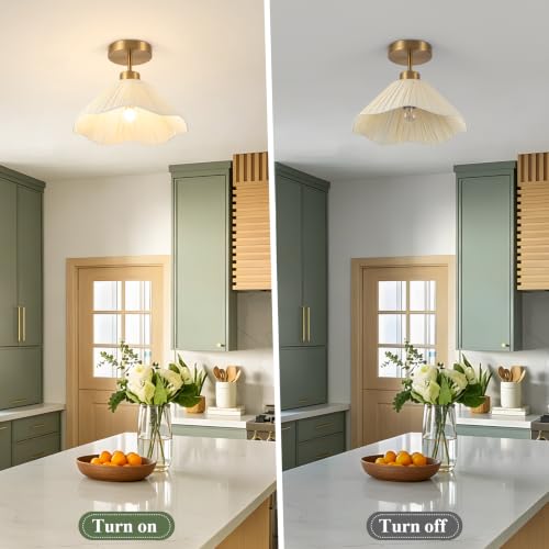 Semi Flush Mount Ceiling Light