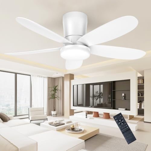 Ceiling Fans with Lights